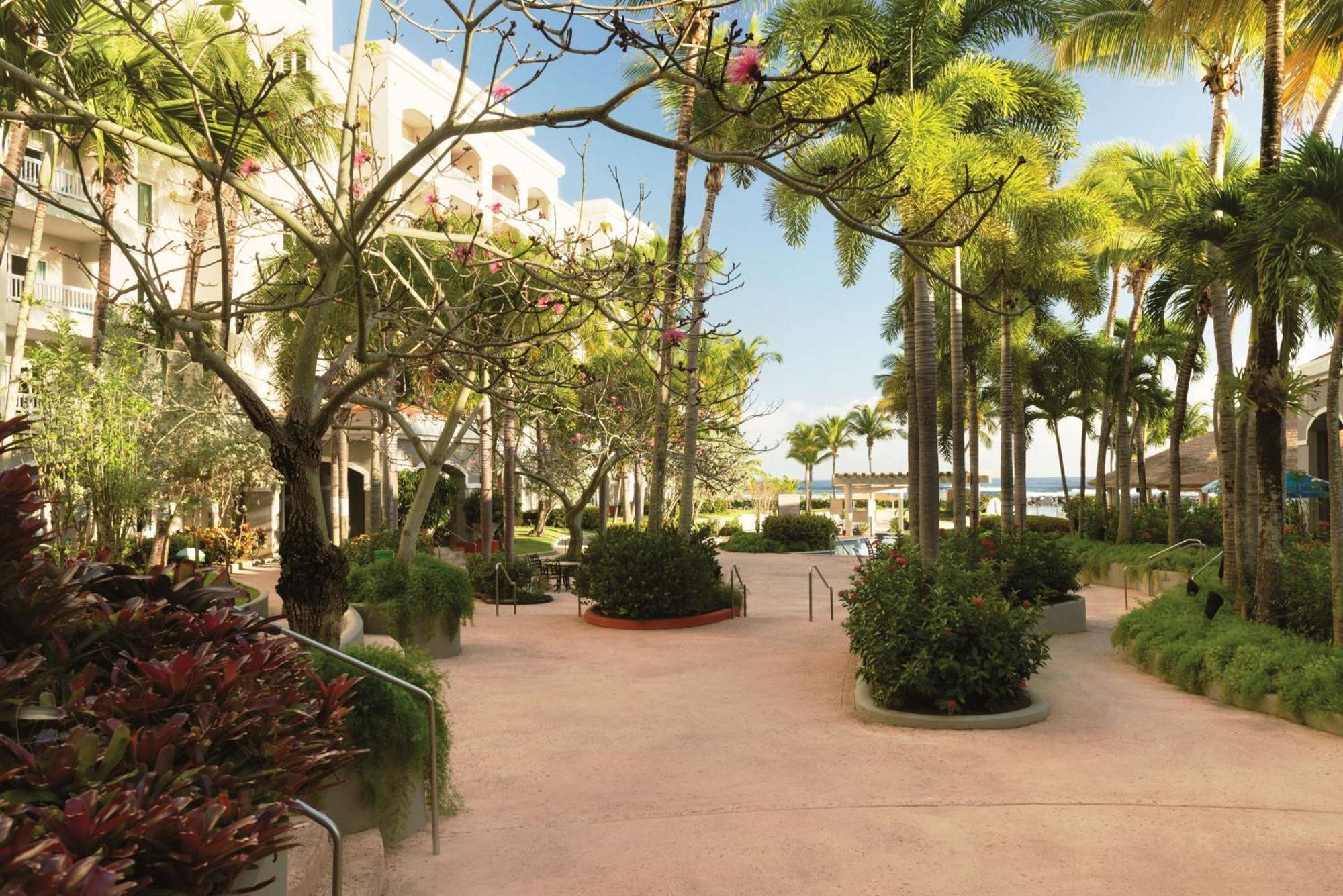 Embassy Suites By Hilton Dorado Del Mar Beach Resort Exteriér fotografie